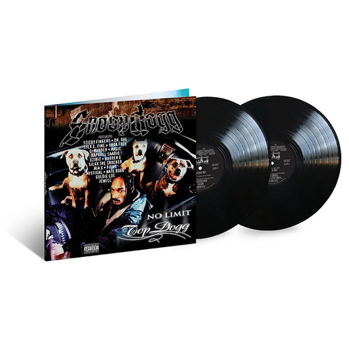 Snoop Dogg ‎– R & G (Rhythm & Gangsta): The Masterpiece (2 x Vinyl