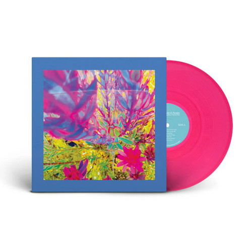 The Reds, Pinks & Purples – The Past Is A Garden I Never Fed (Vinyl, LP, Album, Limited Edition, Pink Translucent)