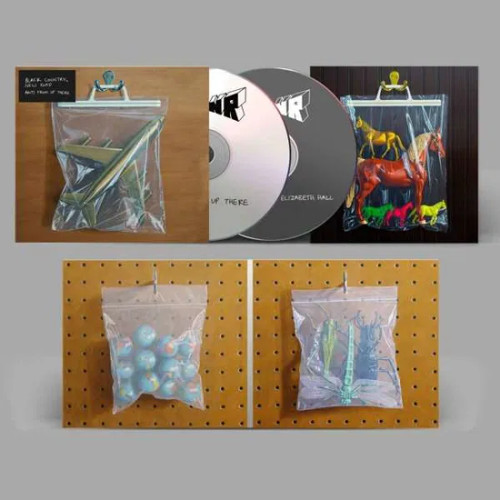 Black Country, New Road – Ants From Up There (2 x CD, Album, Deluxe Edition, Box Set)