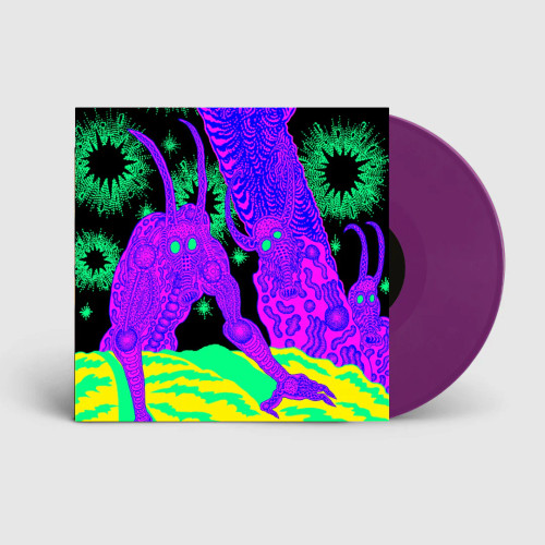 Osees – Abomination Revealed At Last (Vinyl, LP, Album, Grimace Purple)