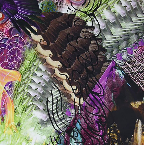 Nero's Day At Disneyland (Lauren Bousfield) – From Rotting Fantasylands (Vinyl, LP, Album, Limited Edition, Ultra Clear)