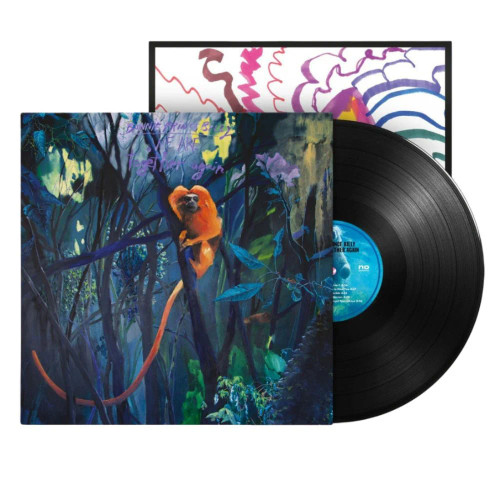 Bonnie "Prince" Billy – We Are Together Again (Vinyl, LP, Album)