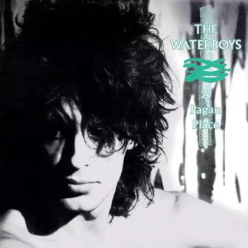The Waterboys – A Pagan Place (Vinyl, LP, Album, Remastered, 180g)
