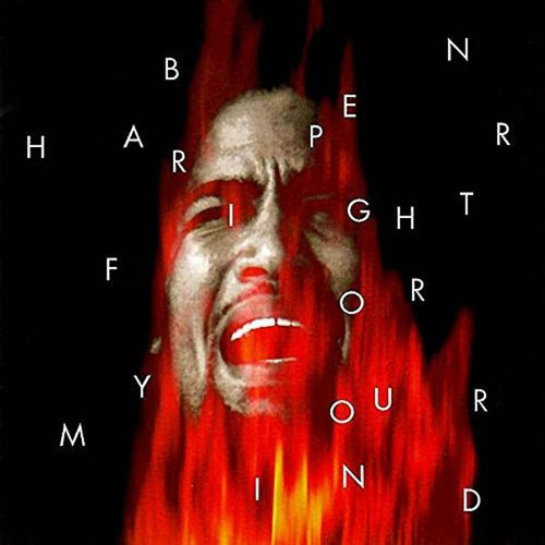 Ben Harper - Fight for your Mind (LP)