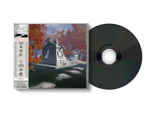 Desert Sand Feels Warm at Night -Messenger of Death  (CD, Album)