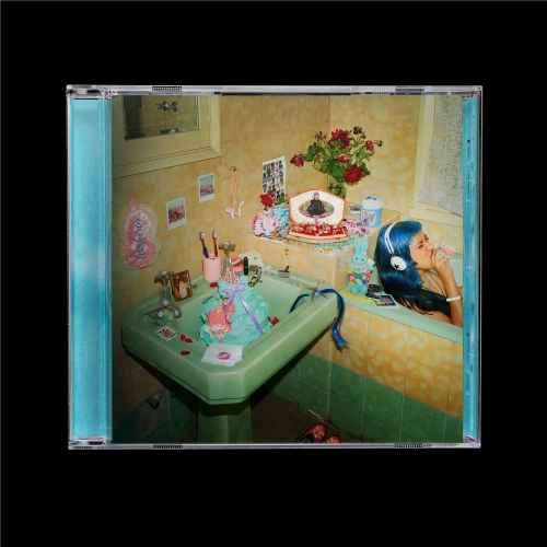 Ecca Vandal – Looking For People to Unfollow (CD, Album)