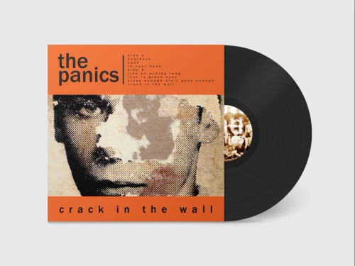 The Panics – Crack In The Wall (Vinyl, LP, Album)