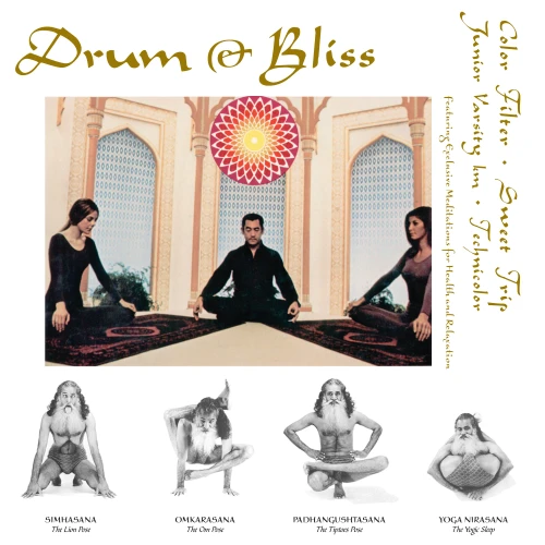 Various – Drum & Bliss (Vinyl, LP, Compilation, Limited Edition, Marijuana)