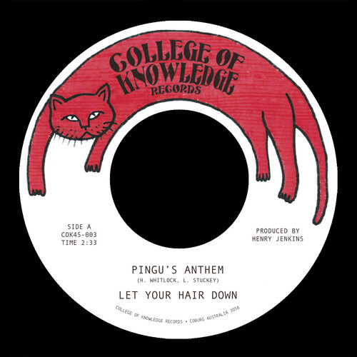 Let Your Hair Down – Pingu's Anthem / Gronk (Vinyl, 7" Single, 45RPM)
