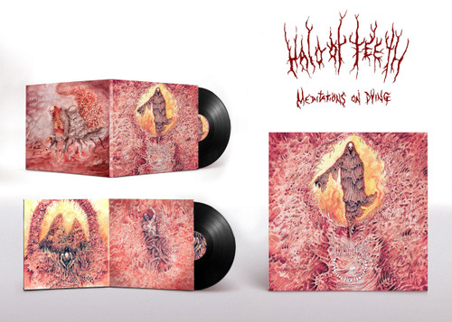 Halo Of Teeth – Meditations On Dying (2 x Vinyl, LP, 45RPM, Album, Numbered, 180g)