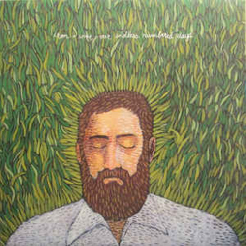 Iron and Wine - Our Endless Numbered Days (VINYL LP)