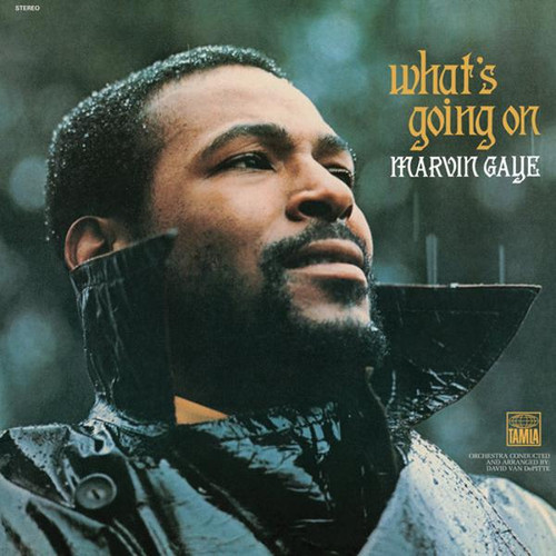 Marvin Gaye - Whats going 10' (VINYL LP)