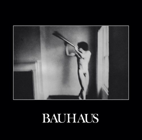 Bauhaus ‎– In The Flat Field