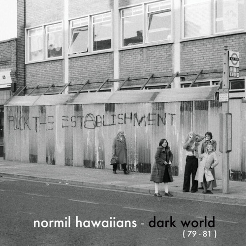 Normil Hawaiians – Dark World (79-81)    (Vinyl, LP, Compilation)