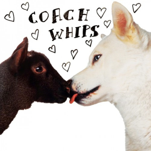 Coachwhips – Bangers Vs. Fuckers (Vinyl, LP, 45 RPM, Album, Limited Edition, Remastered)