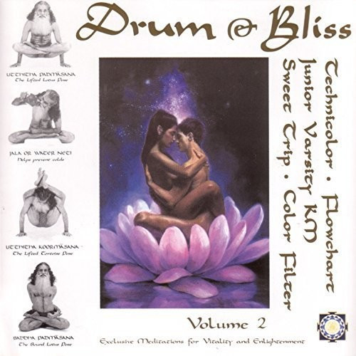 Various – Drum & Bliss V.2 (2 x Vinyl, LP, Compilation)