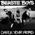 Beastie Boys - Check Your Head (LP)