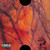 Schoolboy Q - Blank Face LP (2 x Vinyl, LP, Album, Orange, Gatefold)