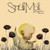 Snail Mail – Valentine Demos (Vinyl, 12" EP)