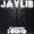 Jaylib – Champion Sound (2 x Vinyl, LP, Album, Stereo)