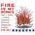 Various Artists – Fire In My Bones - Raw + Rare + Otherworldly African-American Gospel [1944-2007] (3 x CD, Compilation)