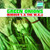 Booker T. & The M.G.s – Green Onions (Vinyl, LP, Album, Mono, 180g)