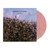 Propagandhi – At Peace (Vinyl, LP, Album, Indie Exclusive, Translucent Pink Glass)