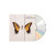Paramore – Brand New Eyes (CD, Album)
