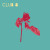 Club 8 – Seasonal Echoes (Vinyl, LP, Album)