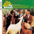 The Beach Boys – Pet Sounds (CD, HDCD, Album, Remastered, Stereo, Mono)