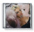 Bebe Rexha – Dirty Blonde (CD, Album)