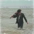 Evan Williams – The View From Halfway Down (Vinyl, LP, Album, Clear)