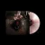 To The Grave – Liberation Front (Vinyl, LP, Album, Red, Marble)