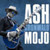 Ash Grunwald ‎– Mojo (LP)