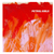 Petrol Girls – Baby.   (	Vinyl, LP, Album, Limited Edition, Orange)