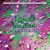 Liquid Tension Experiment - Liquid Tension Experiment (2 x Vinyl, LP, Album, Purple and Black Splatter)