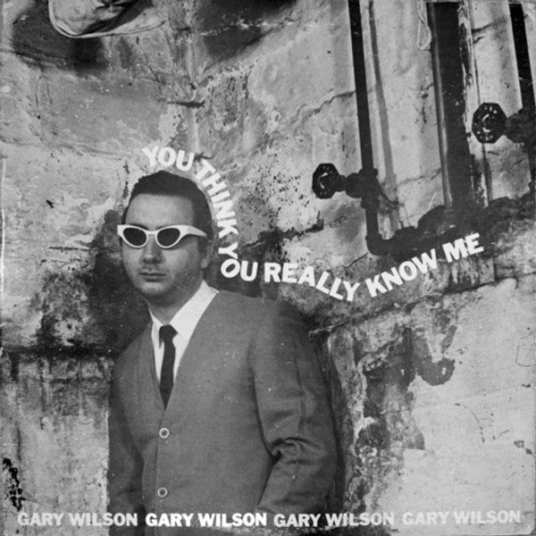 Gary Wilson - You Think You Really Know Me (Vinyl, LP, Album)