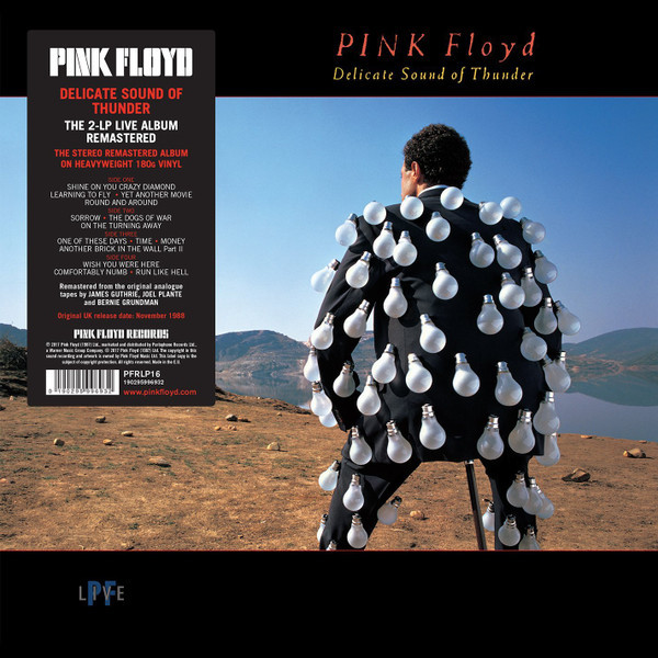 Pink Floyd – Delicate Sound Of Thunder (2 x Vinyl, LP, Album, Reissue, Remastered, 180g, Gatefold)