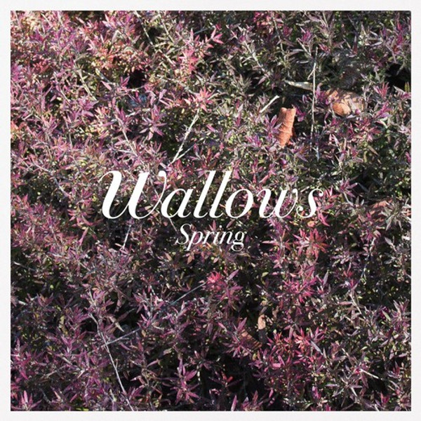 Wallows – Spring (Vinyl, 12", 45 RPM, EP, Green & Pink)