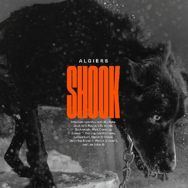 Algiers - Shook (2 x Vinyl, LP, Album)