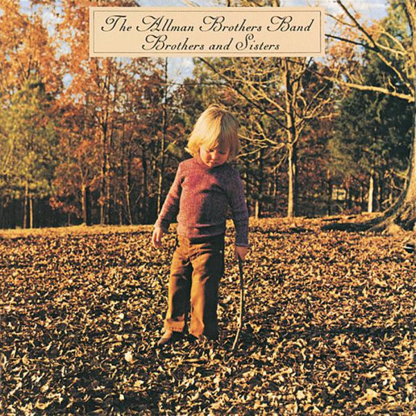 The Allman Brothers Band ‎– Brothers And Sisters (LP)