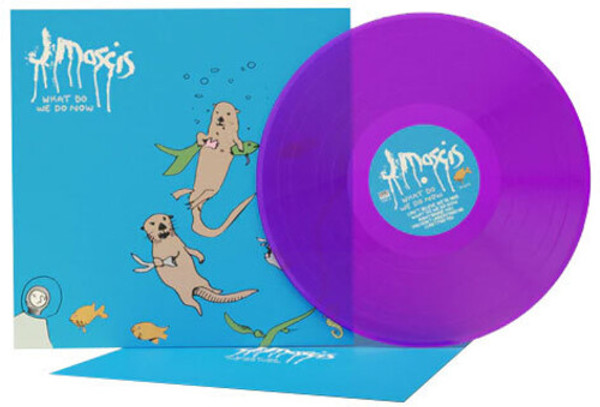 J Mascis – What Do We Do Now (Vinyl, LP, Limited Edition, Loser Edition, Clear Purple)