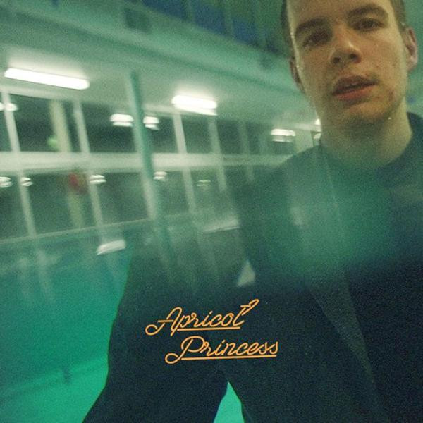 Rex Orange County - Apricot Princess (VINYL LP)