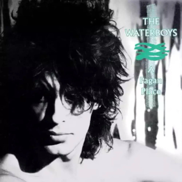 The Waterboys – A Pagan Place (Vinyl, LP, Album, Remastered, 180g)
