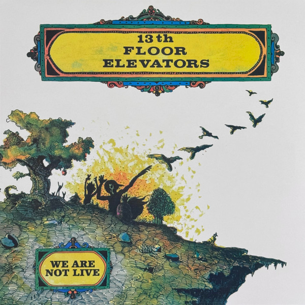 13th Floor Elevators, We Are Not Live, RSD26, Vinyl, LP, Album