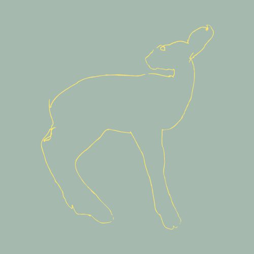 Songs: Ohia – Hecla & Griper (Vinyl, 12" EP, 15th Anniversary Edition, Bonus Tracks)
