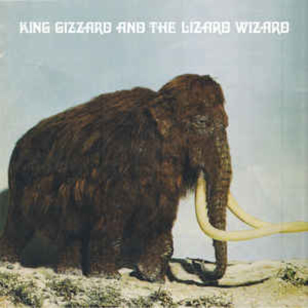 King Gizzard and the Lizard Wizard - Polygodwanaland Fuzz Club Version (VINYL LP)