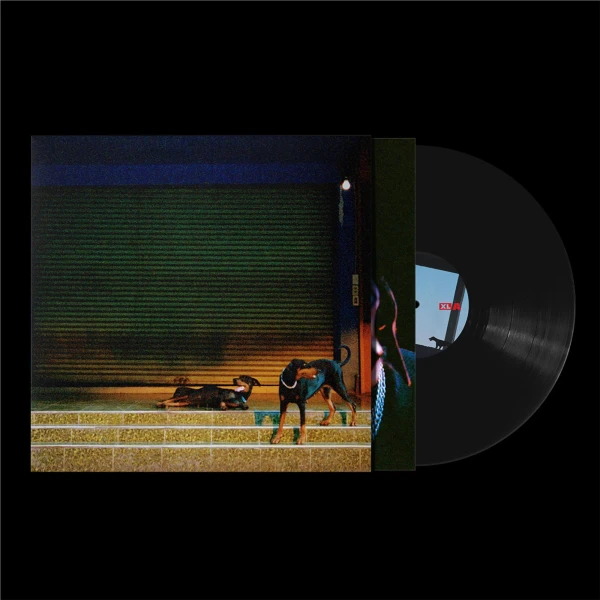 Overmono – Pure Devotion (Vinyl, LP, Album)