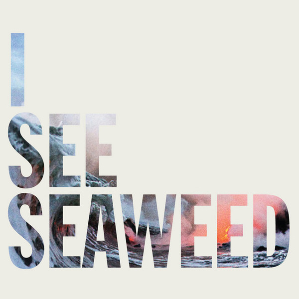 The Drones – I See Seaweed (2 x Vinyl, LP, Album)