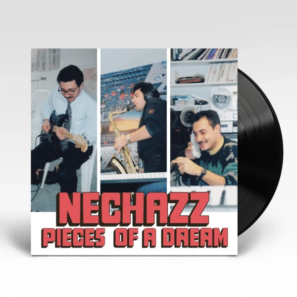Nechazz – Pieces Of A Dream (Vinyl, LP, Compilation)